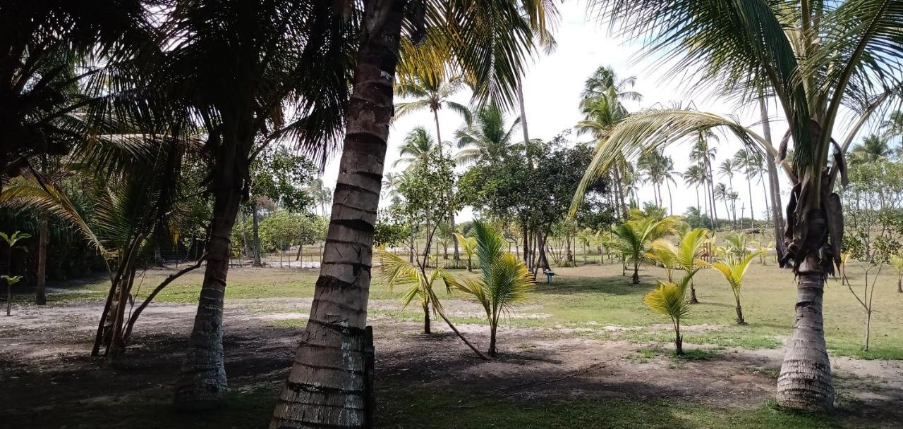 Cantinho Da Paz Ilhéus Eksteriør bilde